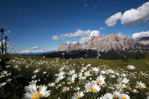 Garni Baita, the B&B in the heart of the Dolomites Image: B&B Garni Baita